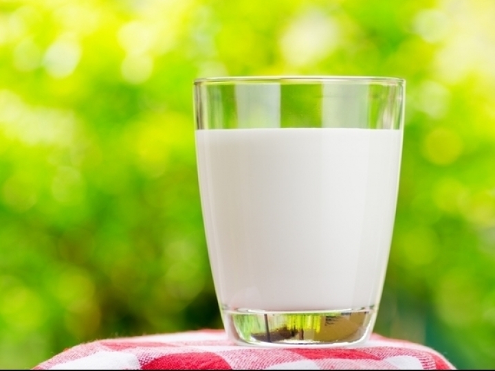 Preço do leite segue em patamares elevados ao produtor