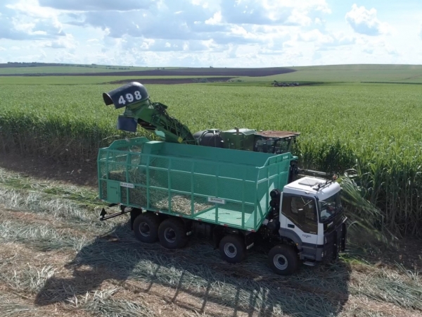 Foto: Marcio Raminelli