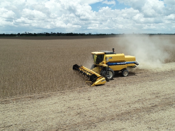 A produção global de soja certificada RTRS continua em pleno crescimento 