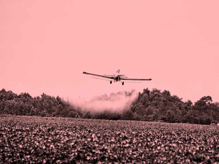 A PL do Veneno e a moda