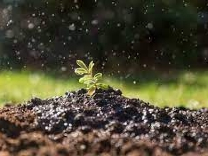 Conservação do solo: porque precisamos falar disso