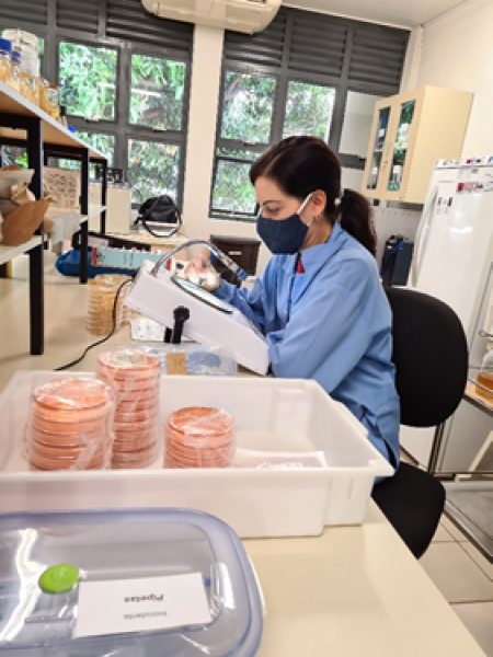 A especialista em análise de inoculantes Eduara Ferreira, da Embrapa Soja, defende o uso de bioinsumos de qualidade - Foto: Mariangela Hungria