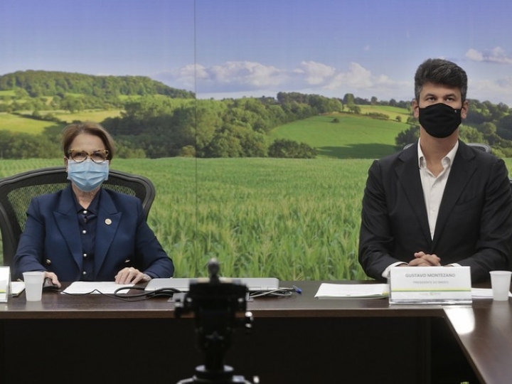 Nova modalidade de Crédito de Recebíveis do Agronegócio conta com garantia do BNDES