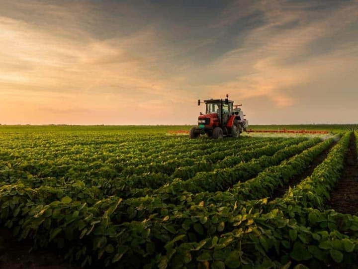 Comitê de Gente e Gestão da ABAG debate o cenário e as perspectivas para a diversidade e inclusão no setor