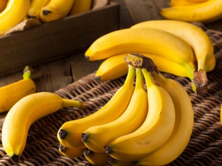 Reforço no monitoramento da praga Foc R4T de bananas