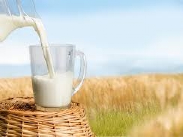 Embrapa aposta na descarbonização da produção de leite