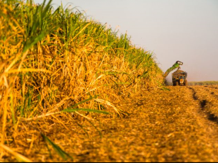 Raízen amplia parceria com Santander para acesso de produtores a crédito rural 