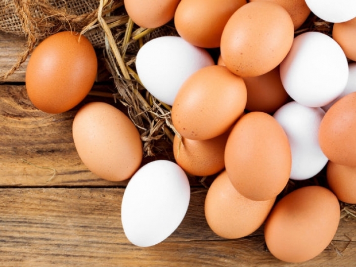Exportações de ovos mantém alta de 142,5% no 1°Tri