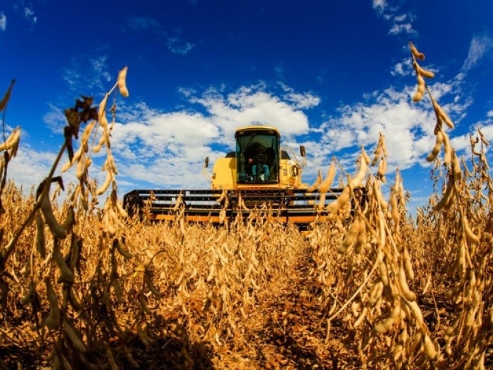 Conab aponta recorde na produção com 273 milhões toneladas de grãos