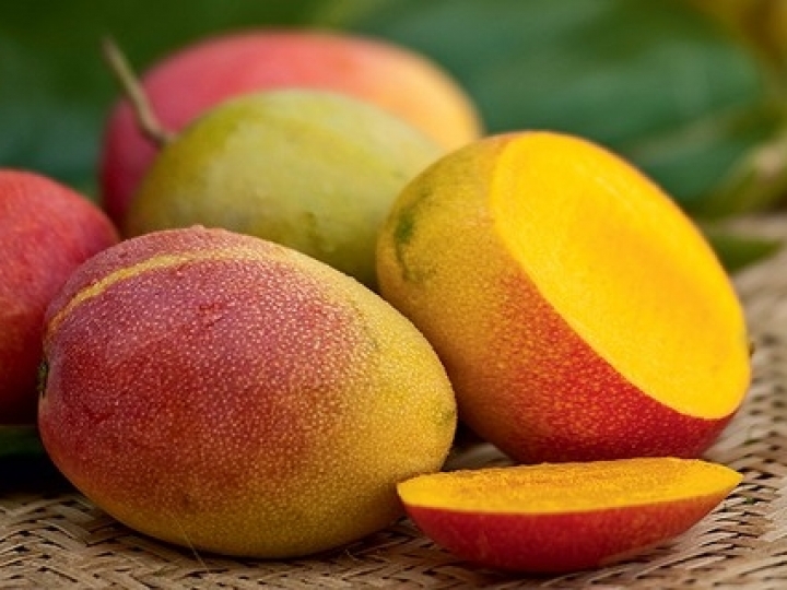 Exportação de manga brasileira bate recorde em 2020 totalizando US$ 246 milhões