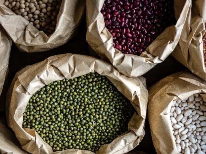 Cúpula do Clima ajuda a elevar preço dos grãos no mercado internacional