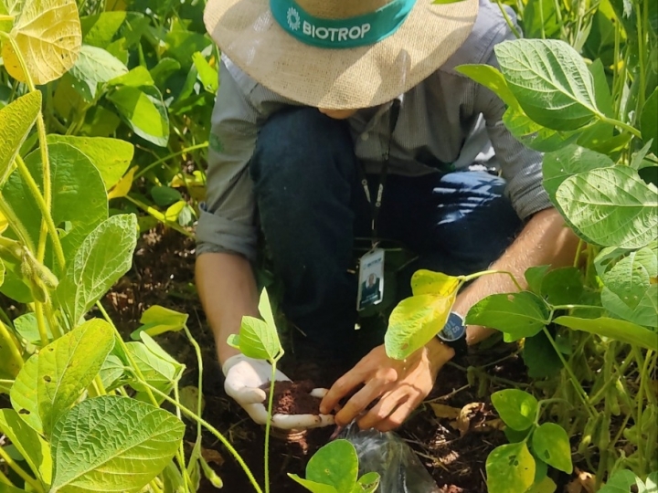 Projeto inédito para análise da biologia do solo tem início no Brasil