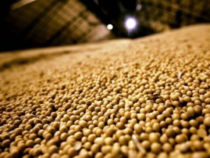 Manejo preventivo em sementes e grãos armazenados garante qualidade