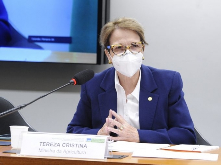 Ministra fala sobre prioridades para o próximo Plano Safra 