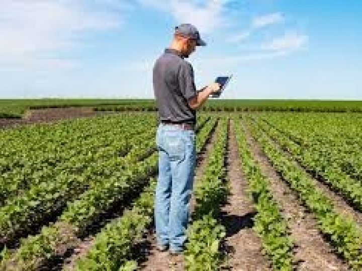 Lideranças do agronegócio apontam profissões em alta 