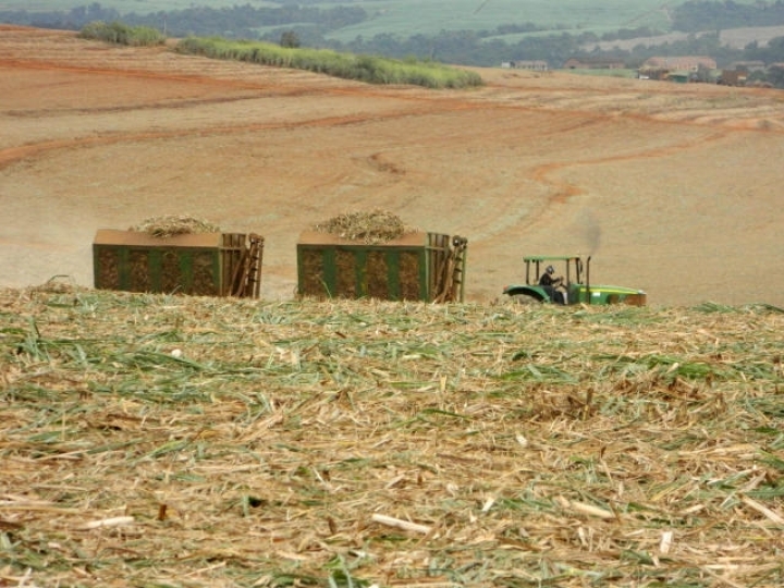 Manejo sustentável garante aumento de produtividade da cana