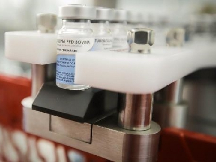 500 mil doses de tuberculina passam a ser distribuídas para todo o Brasil 