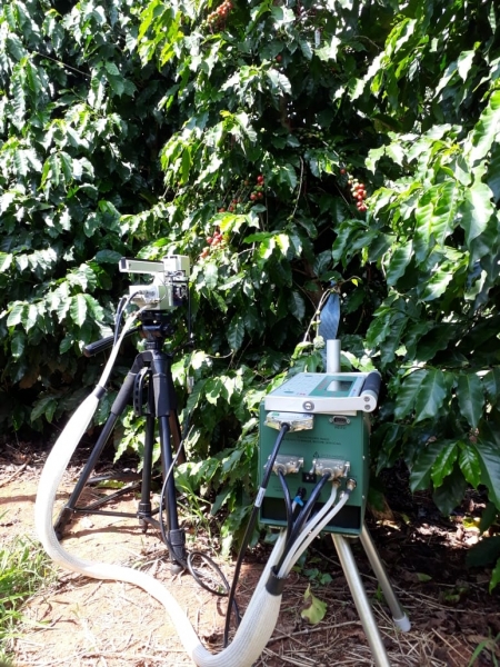 Trocas gasosas - Foto: Eunice Reis