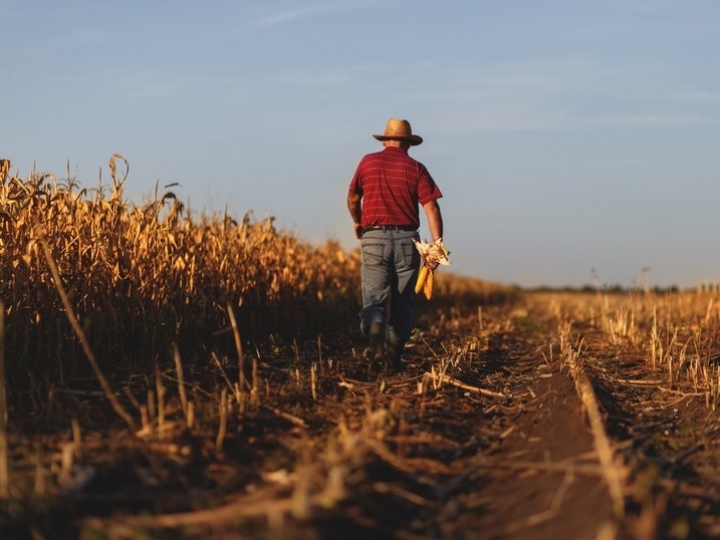Governo libera R$ 693 milhões para o Programa de Seguro Rural em 2021
