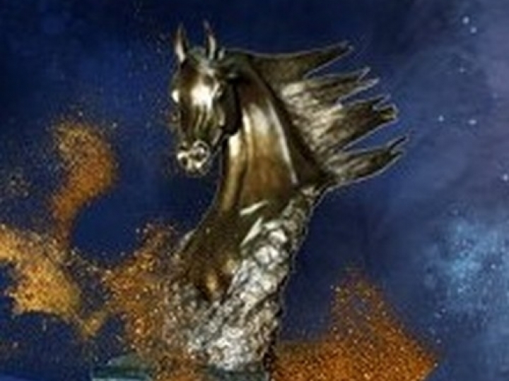 Programa do Cavalo Árabe apresenta lotes do Leilão ABCCA Óvulos e Coberturas 2021