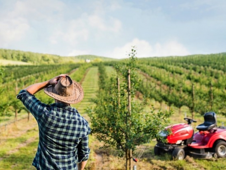 Prioridades e principais dificuldades no acesso ao crédito e seguro rural