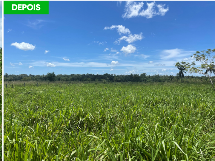 Corteva Agriscience lança tecnologia para controle de plantas daninhas em pastagem alinhada à pecuária sustentável  
