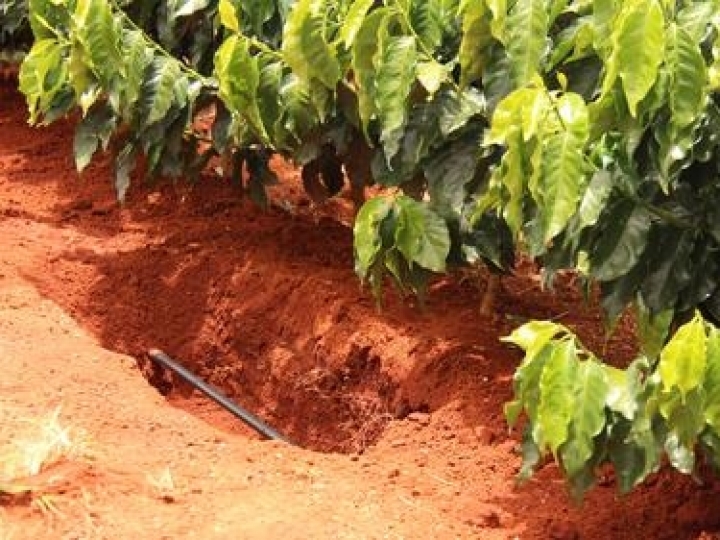 Netafim lança solução de irrigação subterrânea em grãos que proporciona ao produtor uma ‘nova fazenda’ sem necessidade de expandir a área