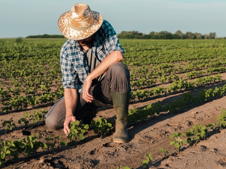 Medidas provisórias ajudam pequenos produtores a renegociar dívidas