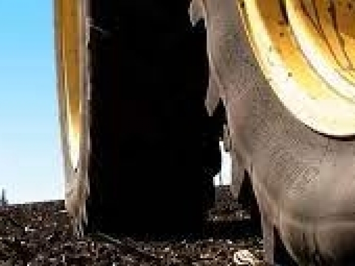 Pneus com a tecnologia Michelin Ultraflex podem ajudar a alimentar o mundo