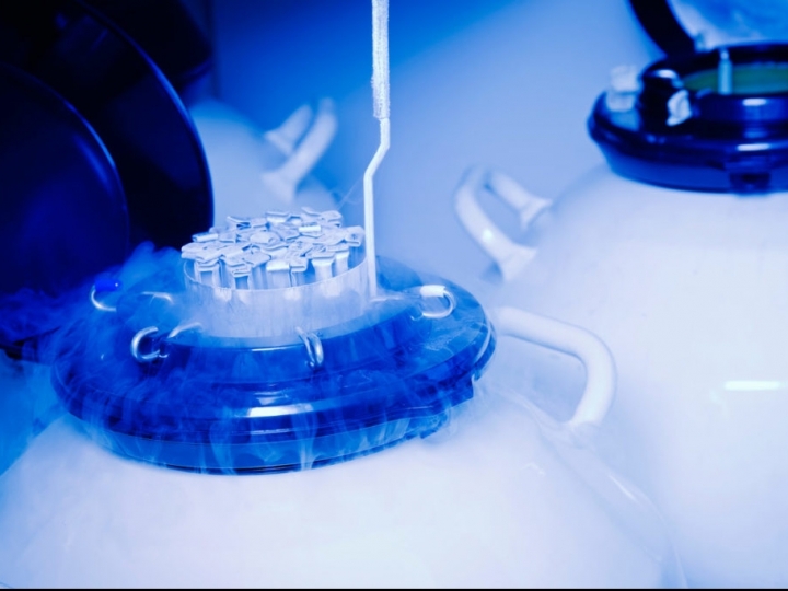 Asbia, ABCZ e ABCGIL assinam estudo brasileiro para exportação de sêmen e embriões para a Índia