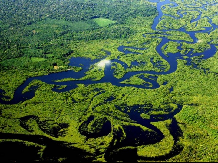 Conab adia leilão de frete de cestas de alimentos ao Amazonas