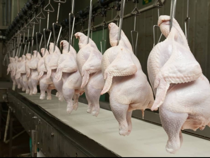 Exportações de carne de frango acumulam alta de 4,6% em 2021