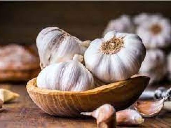 Embrapa prepara lançamento de novas variedades de alho livre de vírus