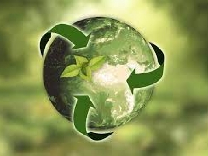 LDC divulga progresso de sustentabilidade em 2020  e define novas metas de emissões