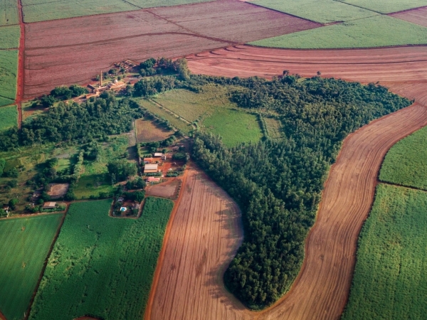 Vista aérea do Museu da Cana rodeado pela mata. Foto: Divulgação