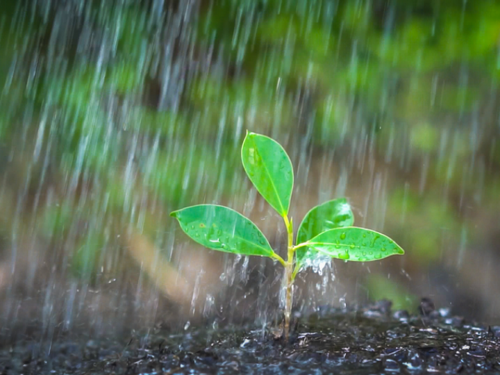 Chuvas avançam e chegam com intensidade no Paraná e MS nesta quarta