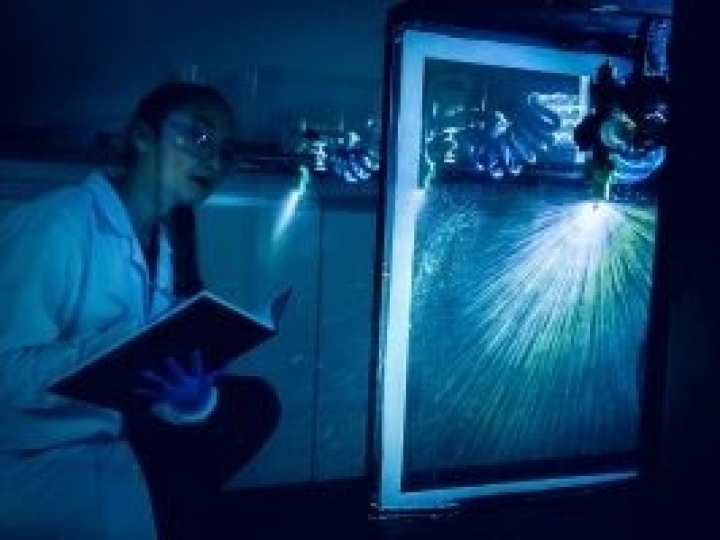 DVA Group investe US$ 200 milhões na América Latina