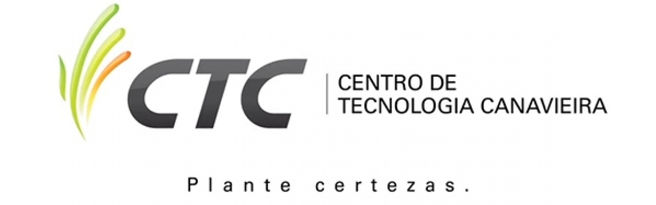 Foto: Internet