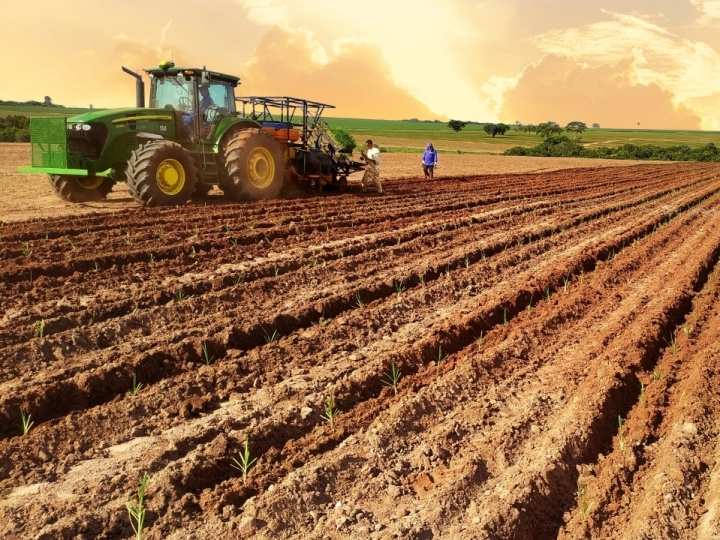 Startup realiza o plantio 20 milhões de mudas pré-brotadas de cana na safra 2021/22