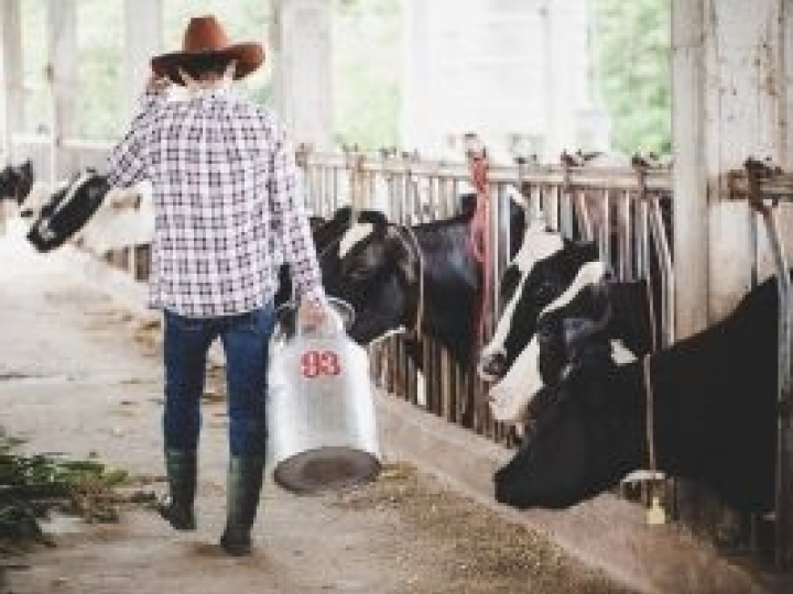 É possível fazer a contagem bacteriana total do colostro e do leite do tanque da fazenda?