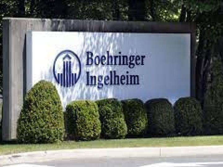 Boehringer Ingelheim Saúde Animal lança novo medicamento para parasitas internos e externos em cães no Brasil 
