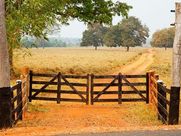 Redução do IR sobre a valorização de imóveis vai beneficiar proprietários rurais