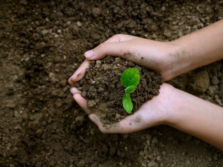 Estudo da Conab indica recorde de importação de fertilizantes