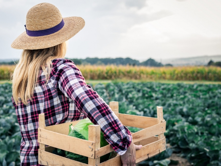 Parceria permite expandir programa voltado para geração de oportunidades para mulheres