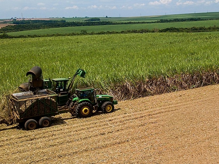 Controle de plantas daninhas na cultura da cana o ano todo é foco da Corteva Agriscience