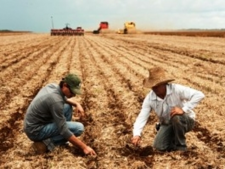 Yara abre inscrições para o Programa Jovens Agrônomos 