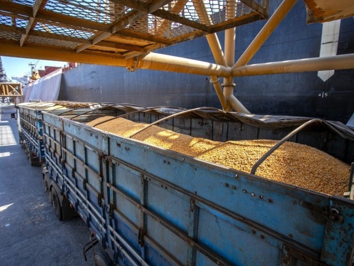 Operação de novo navio com milho importado da Argentina chega ao Porto de Paranaguá