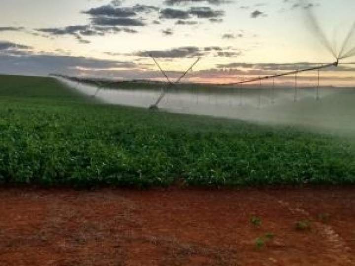 Central de atendimento especializada auxilia produtor no manejo da irrigação