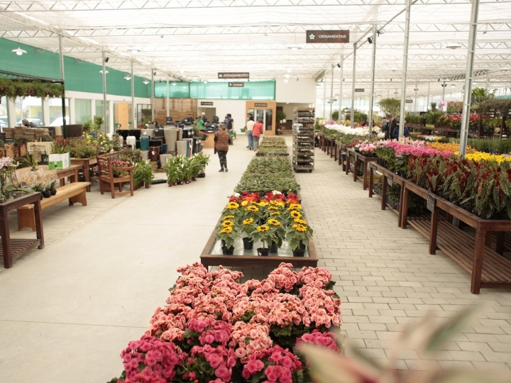 Maior floricultura do Brasil é inaugurada em Curitiba (PR)
