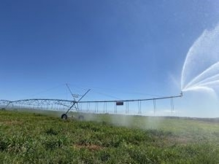 Irrigação começa a transformar solos arenosos em paisagens verdes